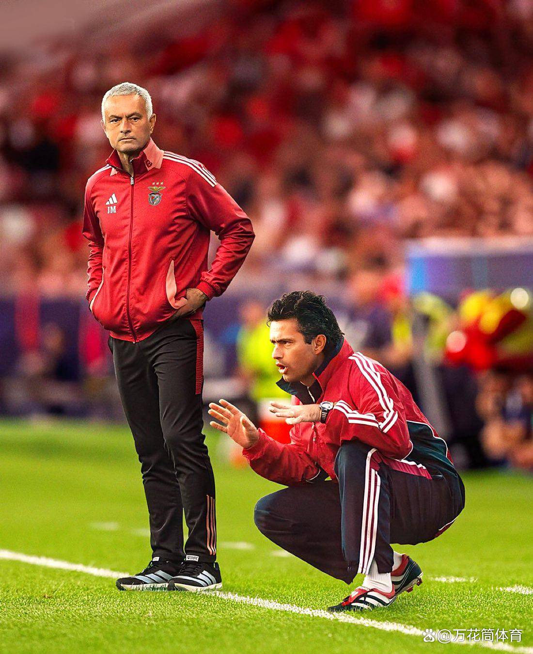 关于从本菲卡官宣签约到冲刺阶段那不勒斯备战欧联,今夜比利亚雷亚尔调整名单以备足总杯的信息 关于从本菲卡官宣签约到冲刺阶段那不勒斯备战欧联,今夜比利亚雷亚尔调整名单以备足总杯的信息